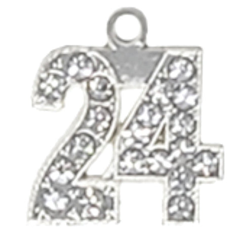 24 Silver BLING Charm